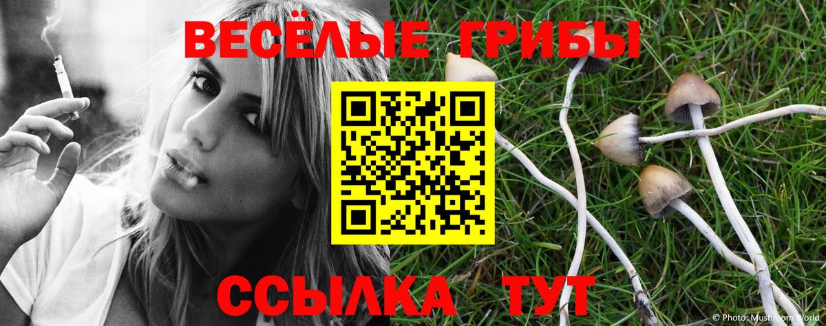 Псилоцибиновые грибы прущие грибы  Псилоцибиновые грибы прущие грибы  Вход с VPN  Урус-Мартан 